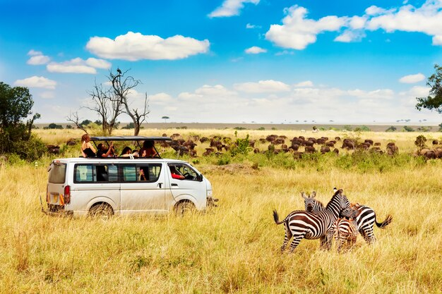 Amboseli National Park